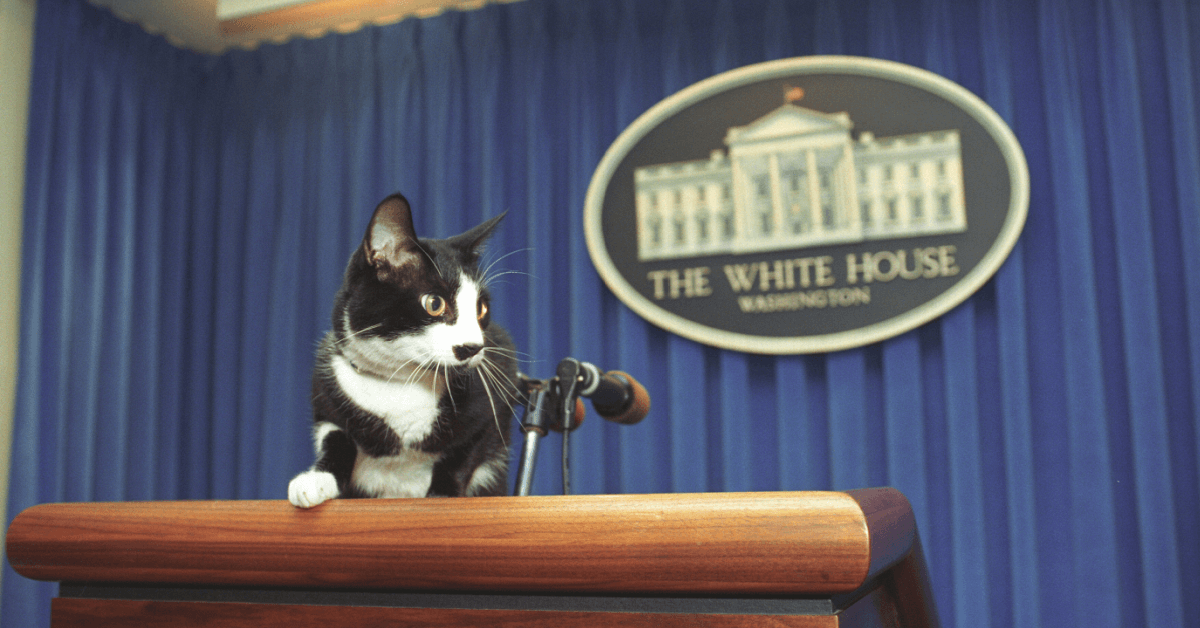Presidential Pets Who’ve Called the White House Home